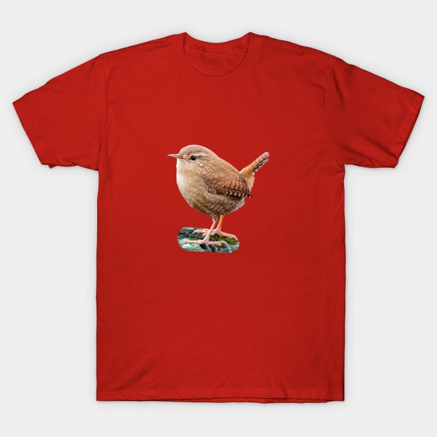 Jenny Wren T-Shirt by dalyndigaital2@gmail.com